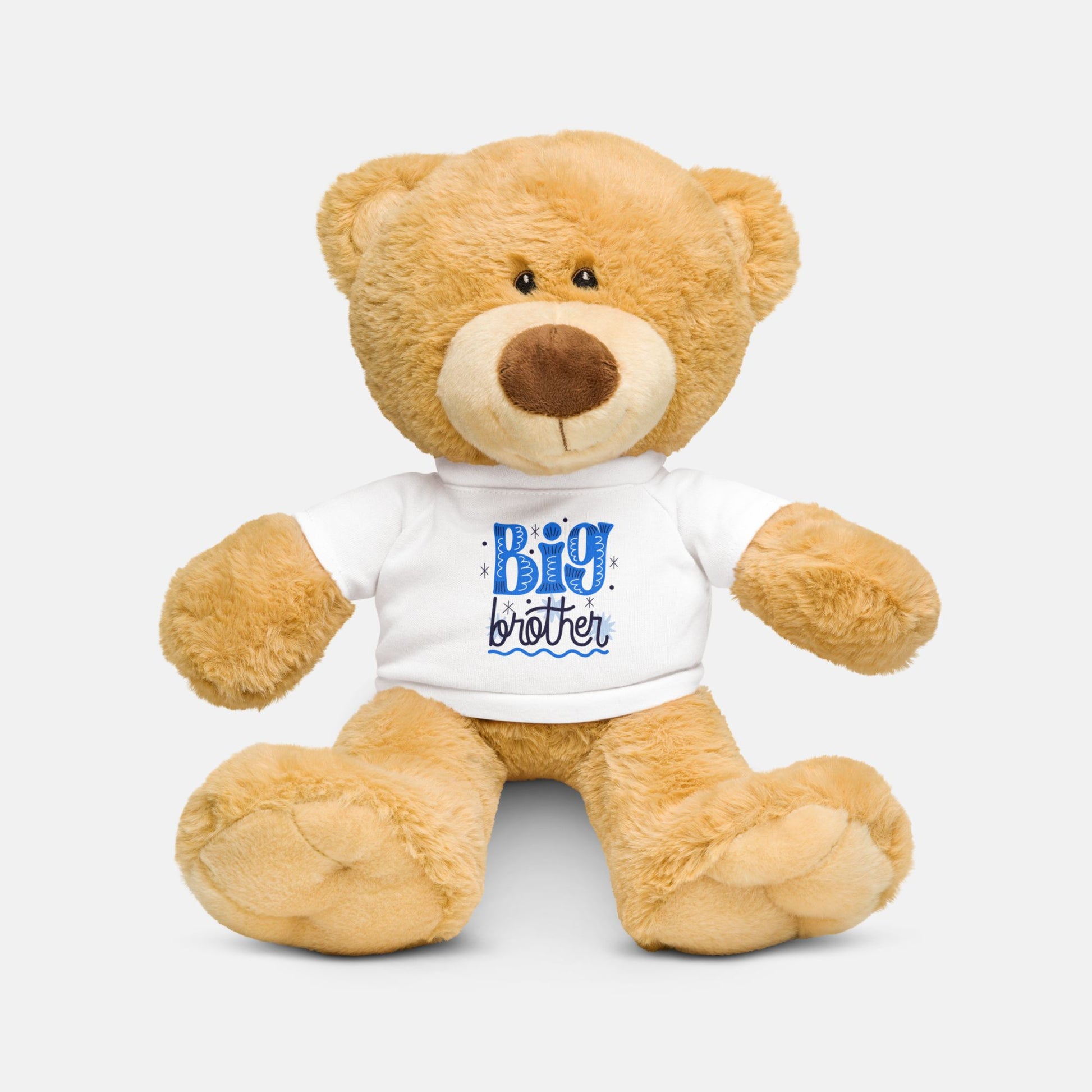 BIG Brother Teddy Bear image 0