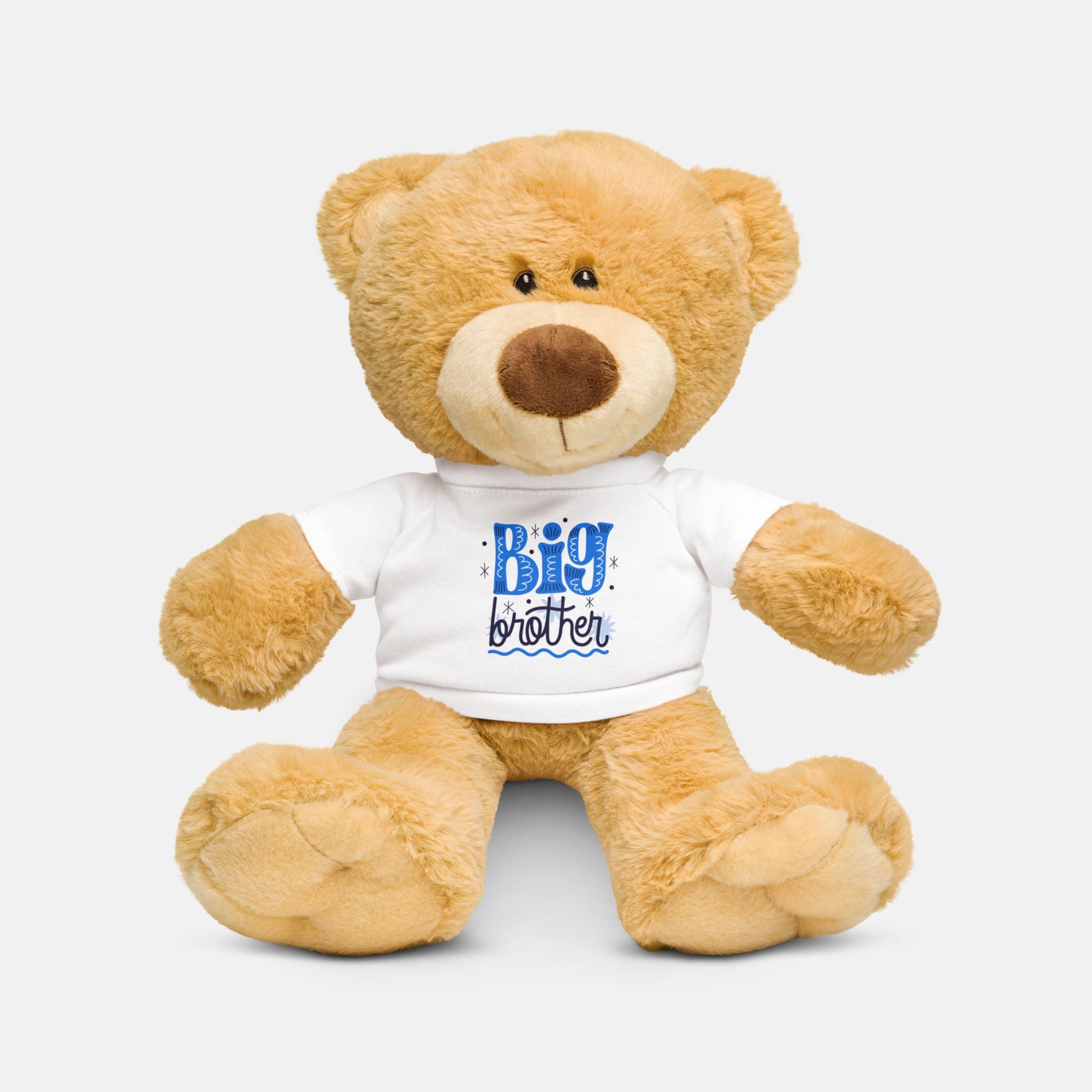 BIG Brother Teddy Bear image 0