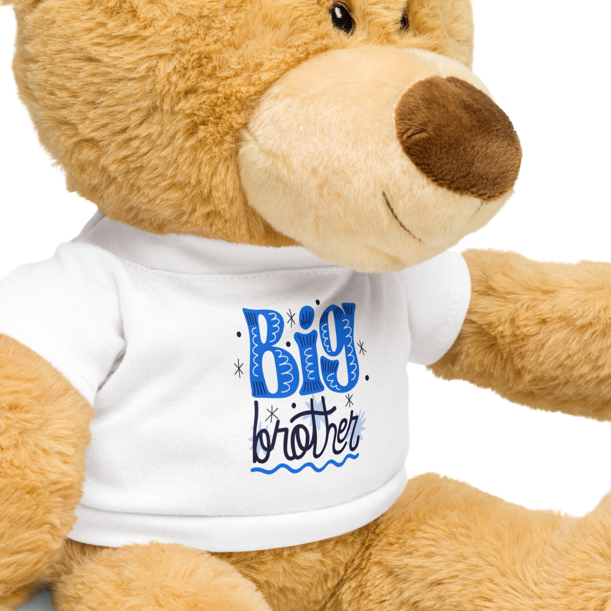 BIG Brother Teddy Bear image 3