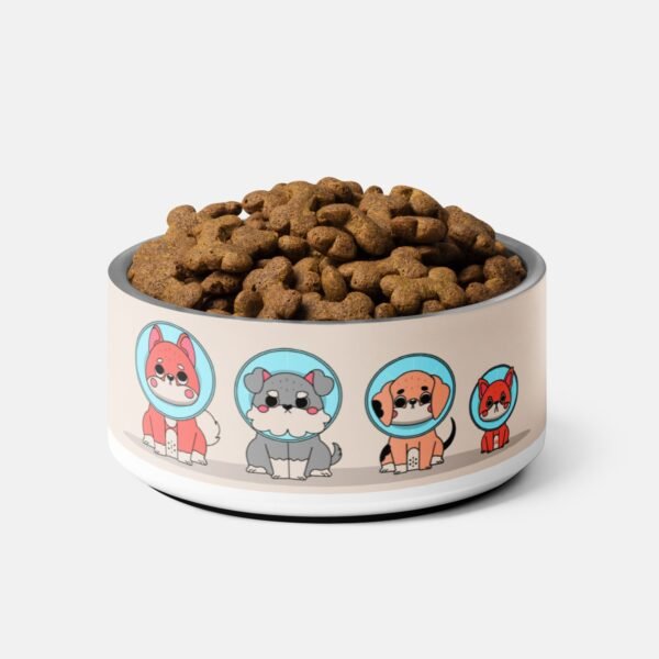 Space Pup Pet Bowl