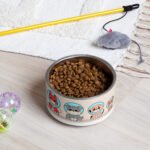 Space Pup Pet Bowl