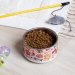 Sweet Paws and Fishbones Pet Bowl