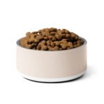 Space Pup Pet Bowl