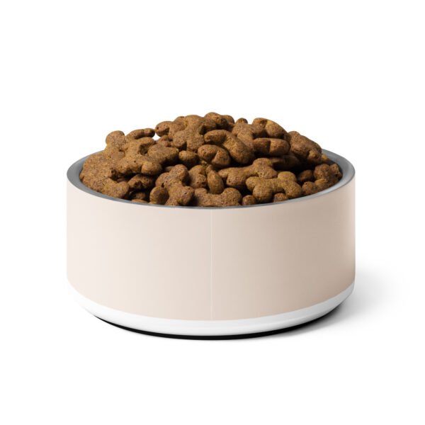 Space Pup Pet Bowl