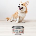 Space Pup Pet Bowl