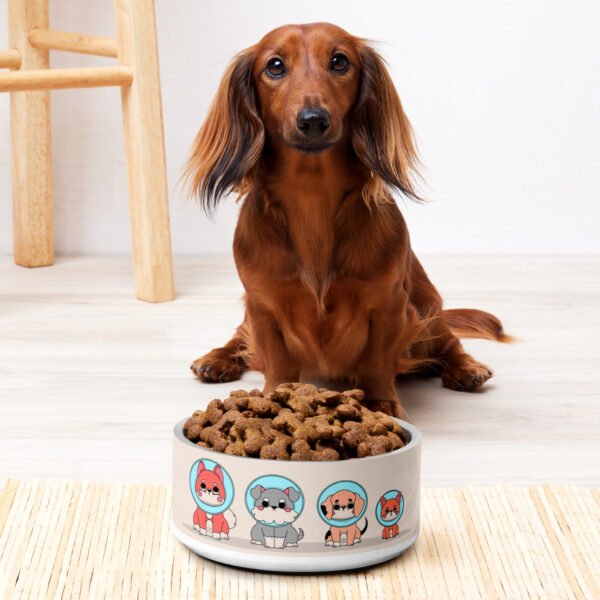 Space Pup Pet Bowl