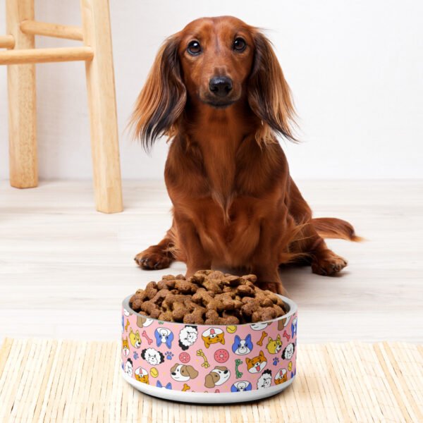 Playful Paws Pet Bowl