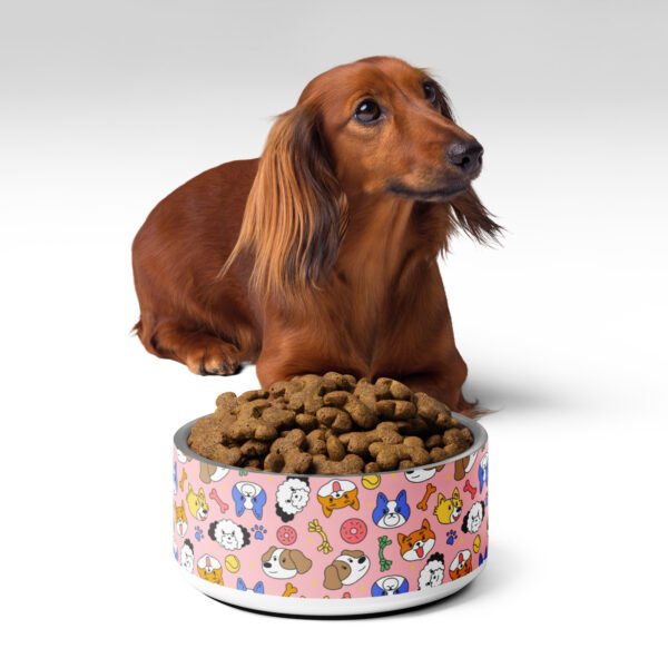 Playful Paws Pet Bowl
