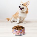 Playful Paws Pet Bowl