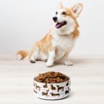 Woof Woof Pet Bowl for Happy Pets