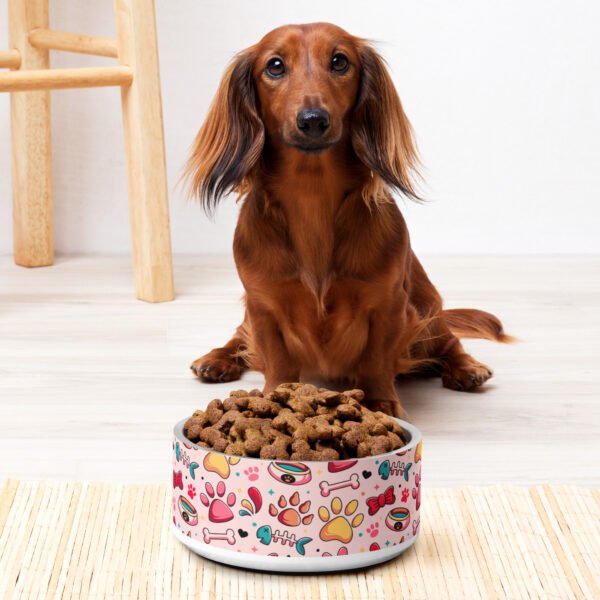 Sweet Paws and Fishbones Pet Bowl