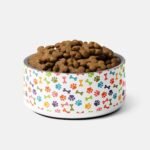 Colorful Paws and Bones Pet Bowl