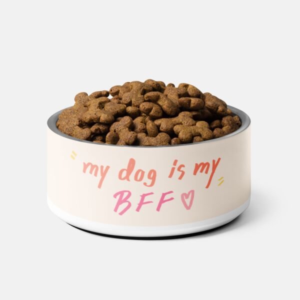 My Dog is My BFF Pet Bowl