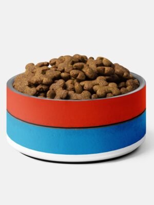 Red and Blue Color Block Pet Bowl
