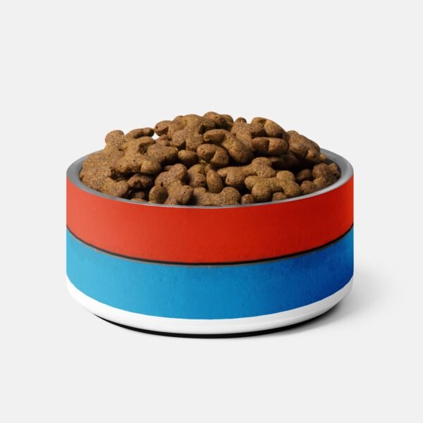 Red and Blue Color Block Pet Bowl