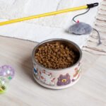 Smiling Lucky Cat Bowl