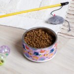 Safari Friends Pet Bowl