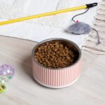 Candy Stripe Pet Bowl