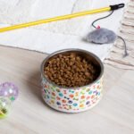 Colorful Paws and Bones Pet Bowl