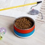Red and Blue Color Block Pet Bowl