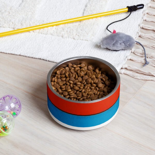 Red and Blue Color Block Pet Bowl
