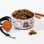Smiling Lucky Cat Bowl