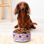 Safari Friends Pet Bowl