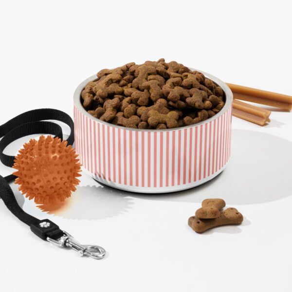 Candy Stripe Pet Bowl