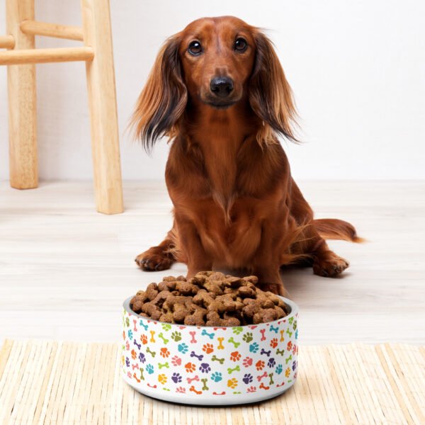 Colorful Paws and Bones Pet Bowl