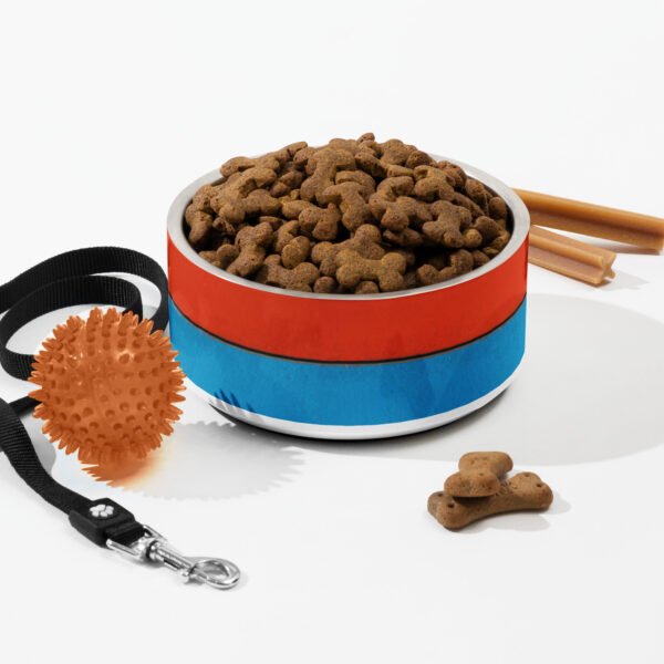 Red and Blue Color Block Pet Bowl