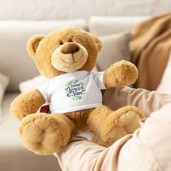 Little Boy Is Here Teddy Bear