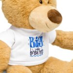 BIG Brother Teddy Bear
